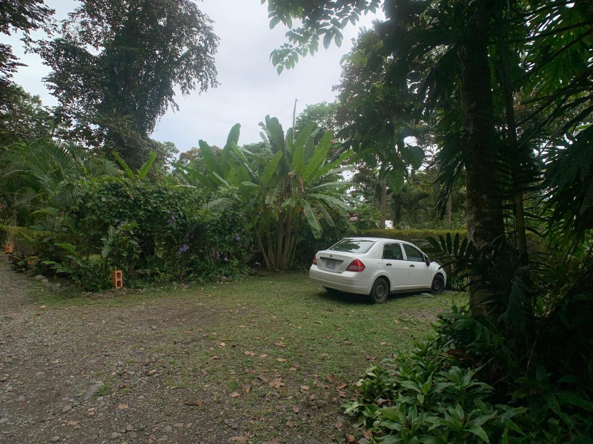 Puerto Viejo de Talamanca 鲁纳卡里贝纳村宾馆酒店 外观 照片