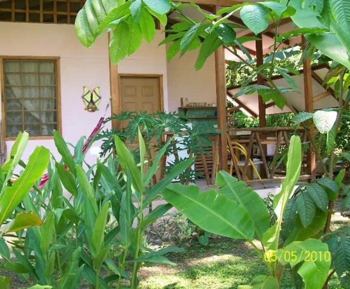 Puerto Viejo de Talamanca 鲁纳卡里贝纳村宾馆酒店 外观 照片