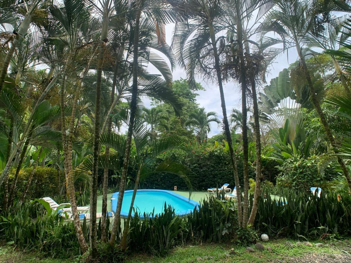 Puerto Viejo de Talamanca 鲁纳卡里贝纳村宾馆酒店 外观 照片