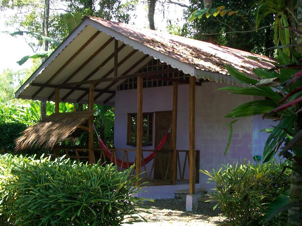 Puerto Viejo de Talamanca 鲁纳卡里贝纳村宾馆酒店 外观 照片