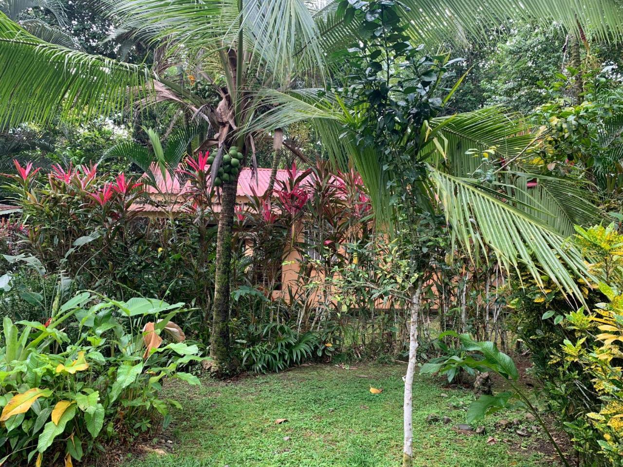 Puerto Viejo de Talamanca 鲁纳卡里贝纳村宾馆酒店 外观 照片