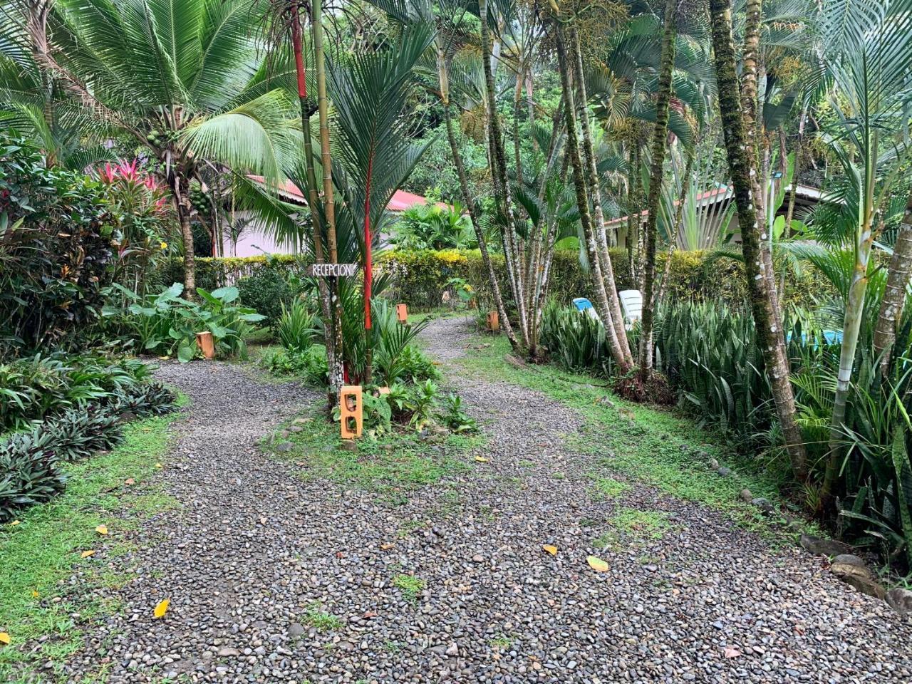 Puerto Viejo de Talamanca 鲁纳卡里贝纳村宾馆酒店 外观 照片