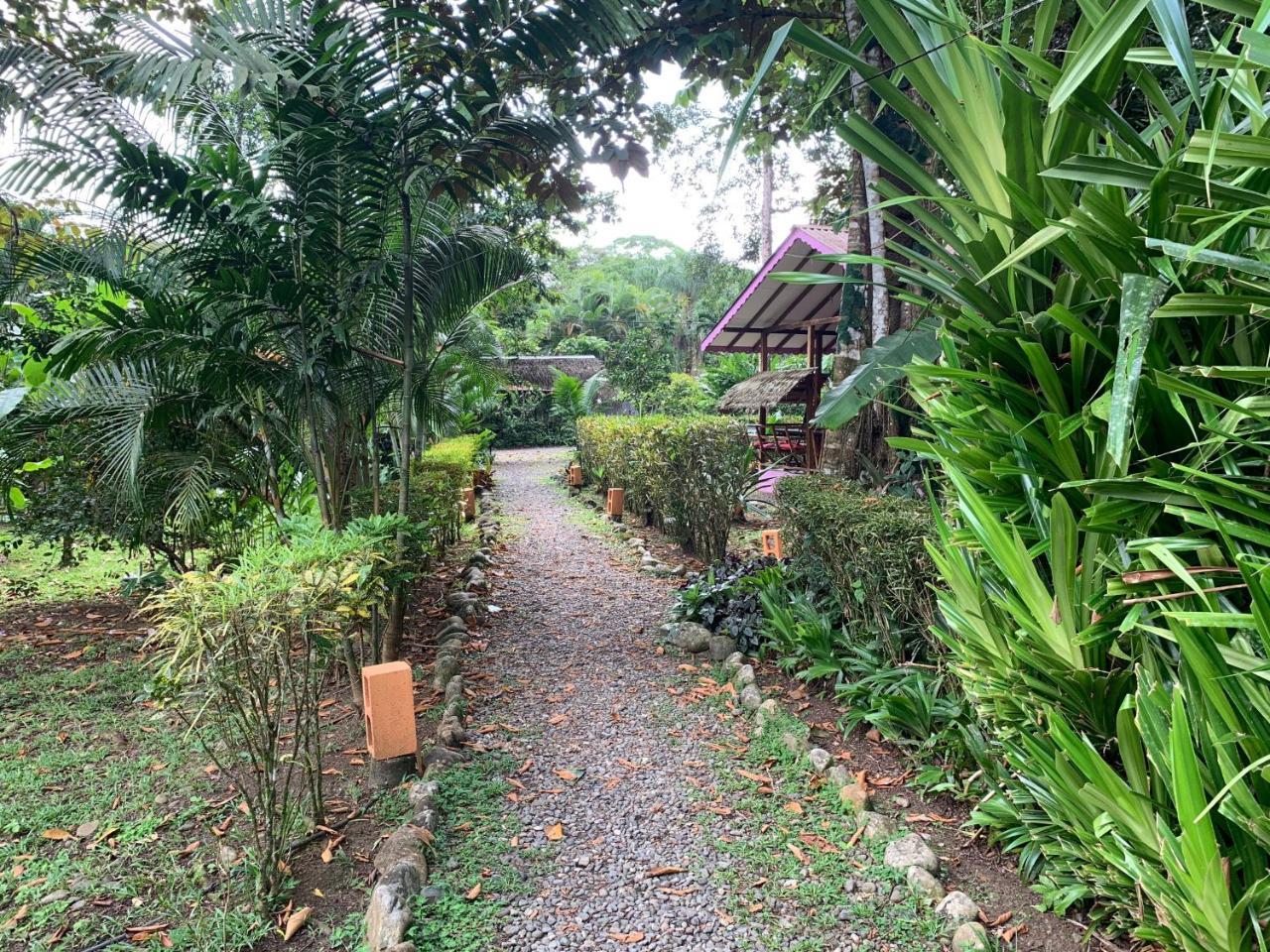 Puerto Viejo de Talamanca 鲁纳卡里贝纳村宾馆酒店 外观 照片