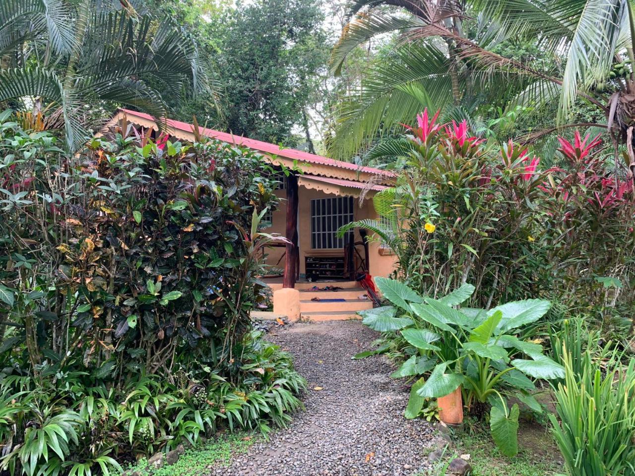 Puerto Viejo de Talamanca 鲁纳卡里贝纳村宾馆酒店 外观 照片