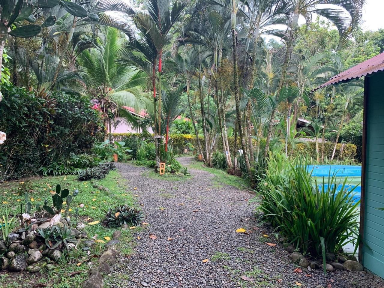 Puerto Viejo de Talamanca 鲁纳卡里贝纳村宾馆酒店 外观 照片