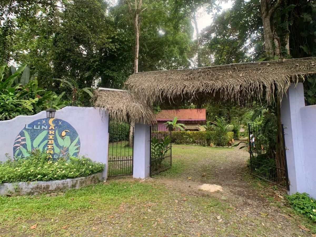 Puerto Viejo de Talamanca 鲁纳卡里贝纳村宾馆酒店 外观 照片