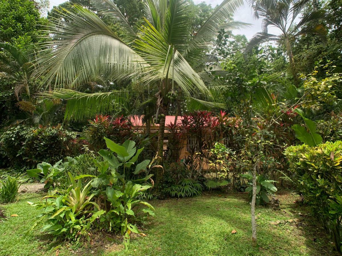 Puerto Viejo de Talamanca 鲁纳卡里贝纳村宾馆酒店 外观 照片