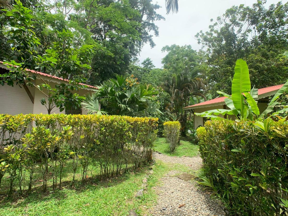 Puerto Viejo de Talamanca 鲁纳卡里贝纳村宾馆酒店 外观 照片